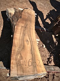 English Walnut
